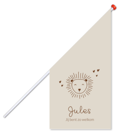 grote geboortevlag jongen meisje lijntekening leeuwtje beige bruin