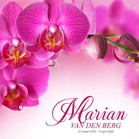 Mooie rouwkaart met paars roze orchidee