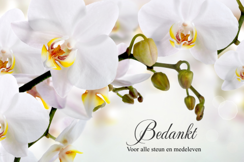 Bedankkaart met witte orchidee na overlijden