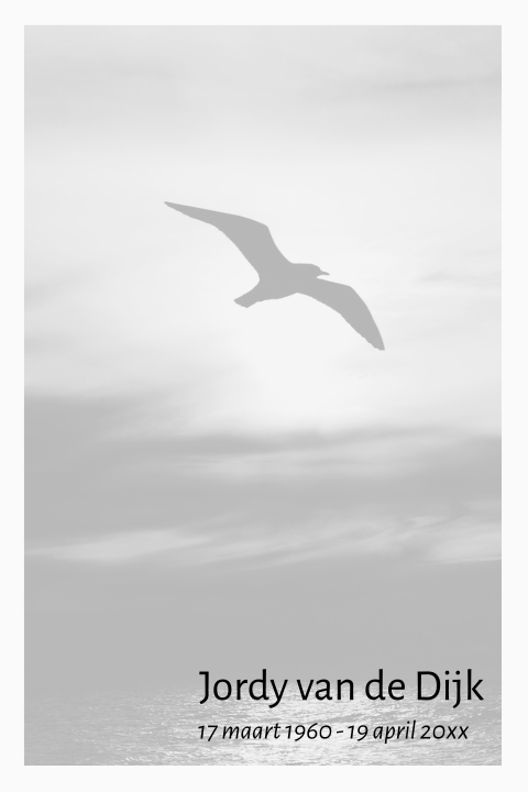 Rouwkaart vogel boven zee