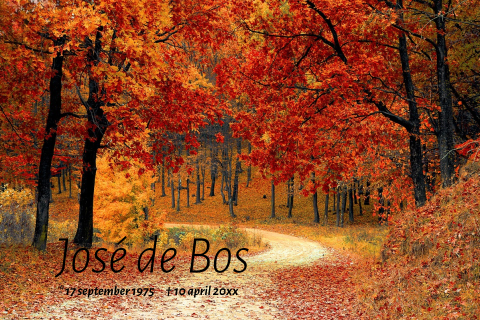 Rouwkaart met foto van een boom in de herfst