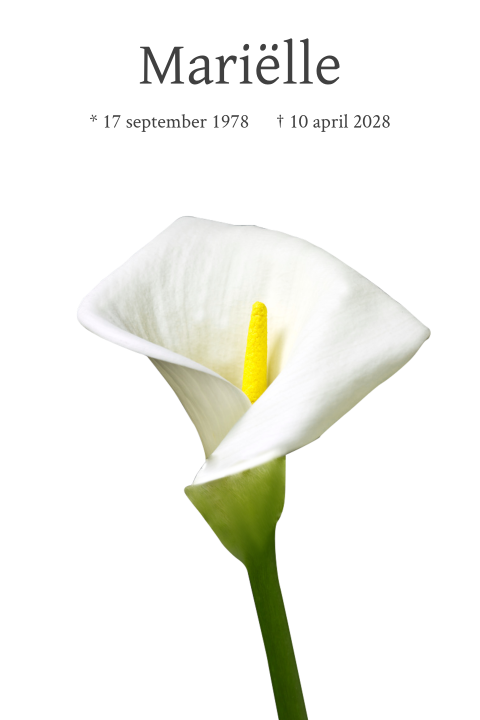 Mooie rouwkaart met foto van witte lelie
