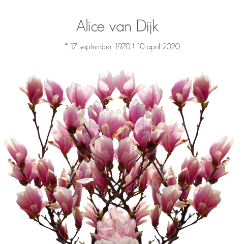 Stijlvolle rouwkaart met roze magnolia