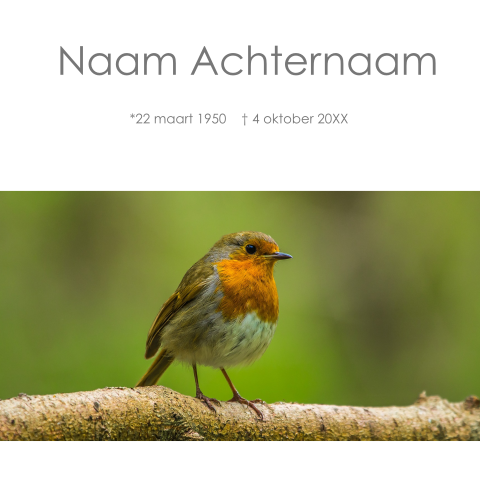 Mooie rouwkaart met roodborstje