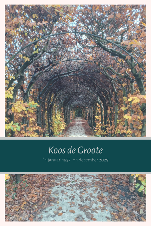 Rouwkaart met foto van een bos in de vorm van een poort