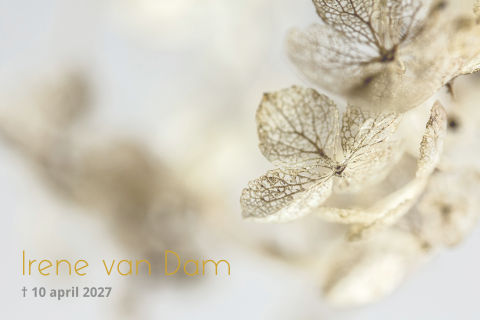 Rouwkaart gedroogde hortensia bloemen