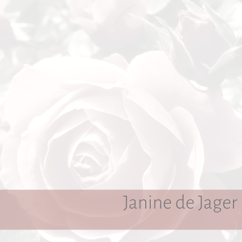 Bedankkaart in pastel tinten met een roze roos