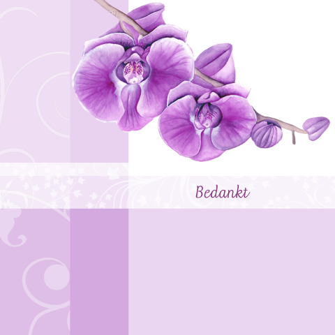 Bedanktkaart met paarse orchidee