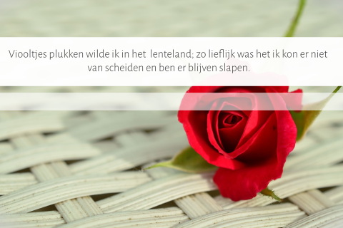 Moderne warme bedankkaart vrouw met rode roos op gevlochten riet