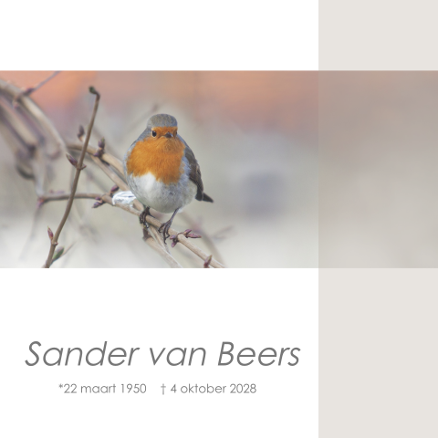 Mooie rouwkaart met een roodborstje