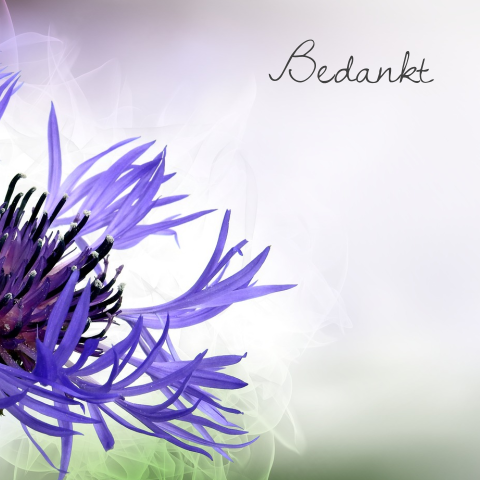 Fotografie bedankkaart met paarse bloem
