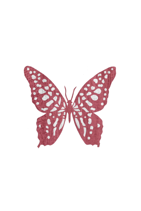 Bidprentje voor een overleden kindje met roze rode vlinder