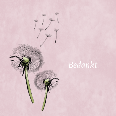 Bedankkaart paardebloem met roze achtergrond
