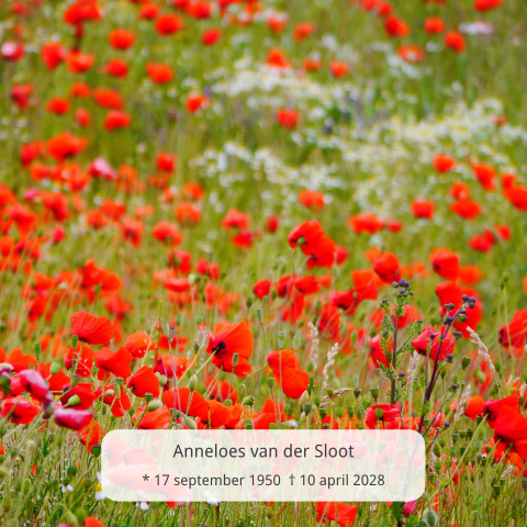 Mooie bloemen rouwkaart groen met rode bloemen