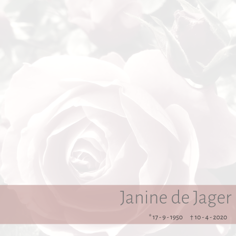 Rouwkaart in pastel tinten met een roze roos