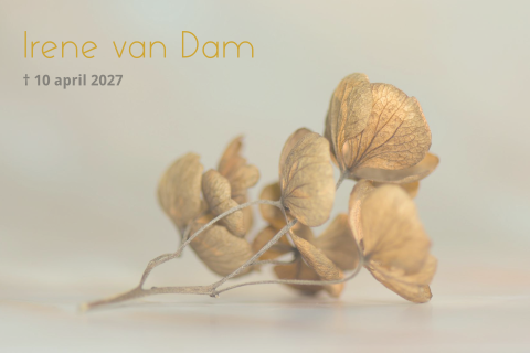 Rouwkaart gedroogde hortensia bloem