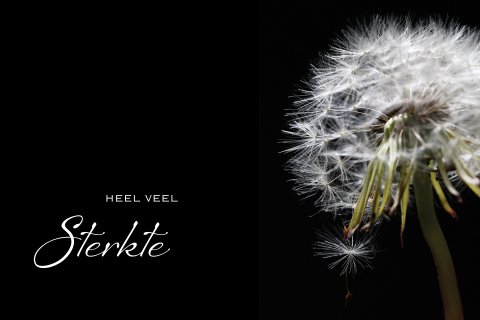 Condoleancekaart pluizenbol paardenbloem
