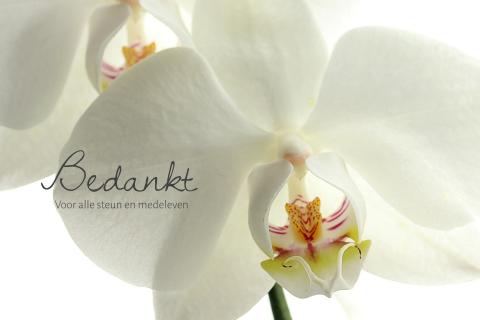 Dankbetuiging na overlijden met witte orchidee