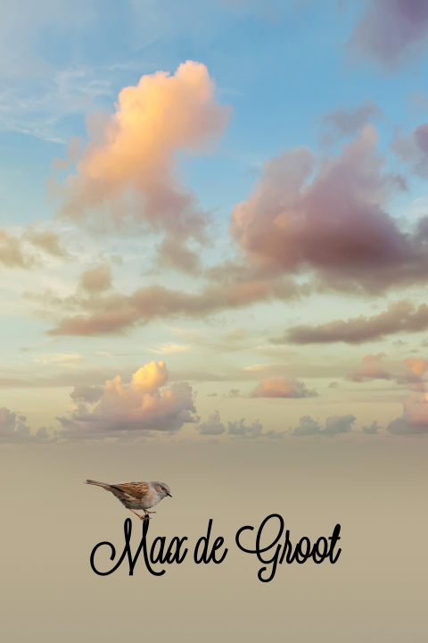 Rouwkaart lucht vogel en wolken