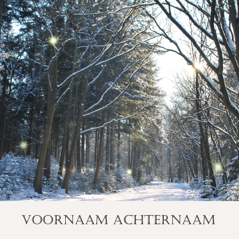 Rouwkaart prachtig gefotografeerde winterbos