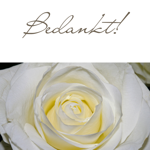 Trendy bedankkaart stijlvol ontwerp met witte roos