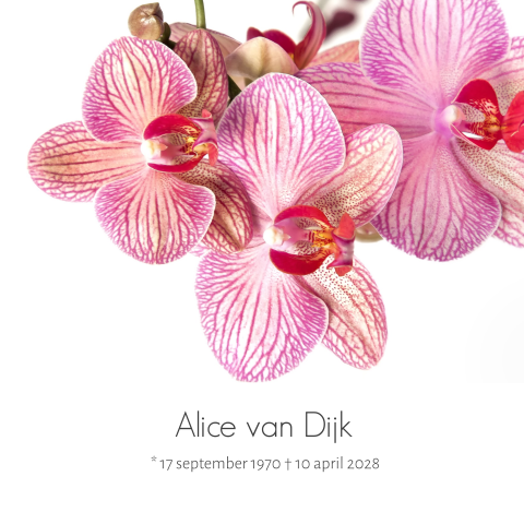 Rouwkaart met roze orchidee en grijze tekst