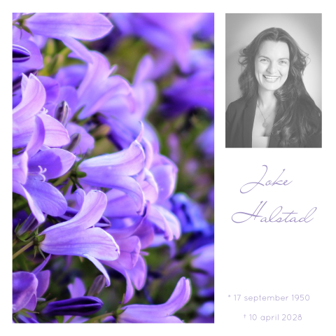 Bloemen rouwkaart met Campanula Portenschlagiana