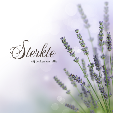 Mooie condoleancekaart met paarse lavendel