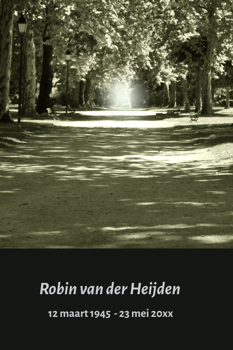 Prachtige rouwkaart met gefotografeerde pad met bomen