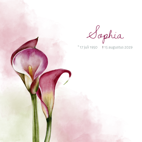 Rouwkaart met calla lelie en roze en groene watercolor