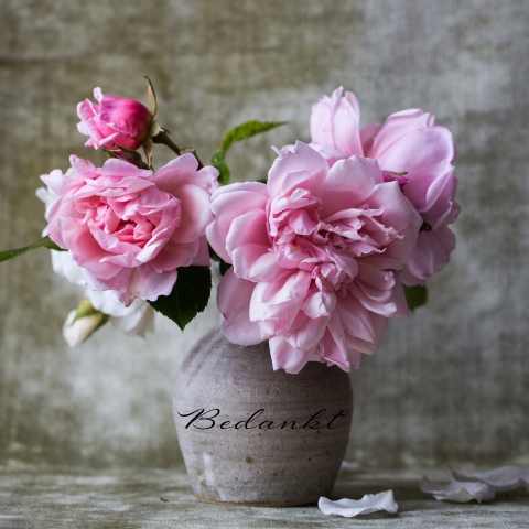 Bedankkaart Begrafenis met gefotografeerde pot bloemen in roze