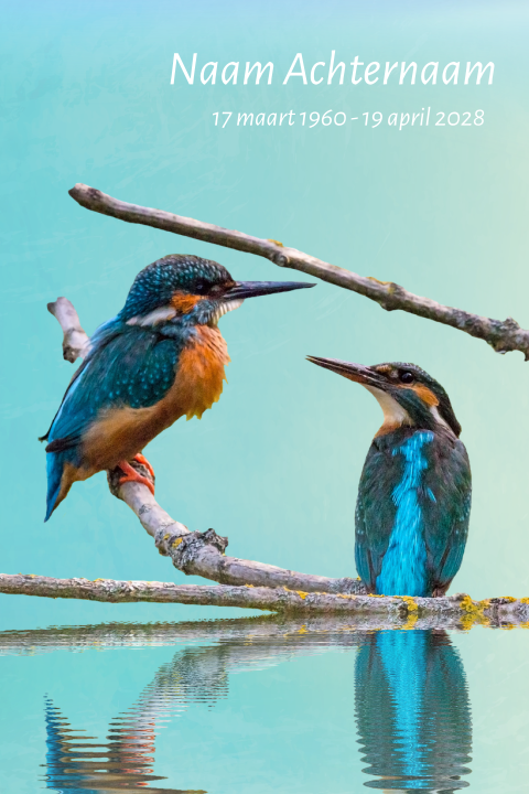 Rouwkaarten met ijsvogels