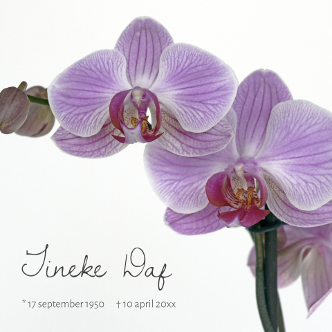 Fotografie rouwkaart met paarse orchidee