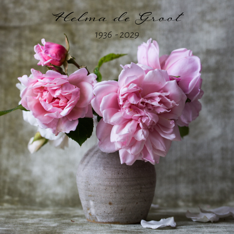 Prachtige gefotografeerde pot met zachte bloemen in roze