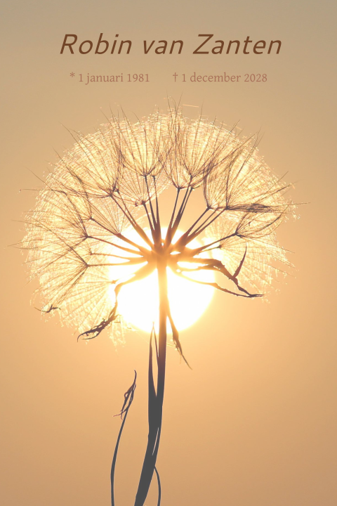 Rouwkaart met paardenbloem en de zon