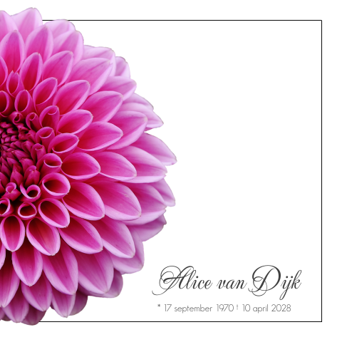 Moderne bloemen rouwkaart met roze dahlia bloem