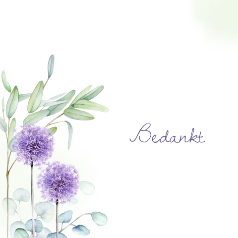 Dankbetuiging Eucalyptus paarse bloem