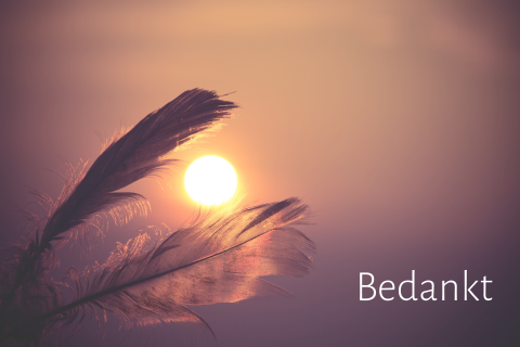 Stijlvolle bedankkaart met veren en ondergaande zon