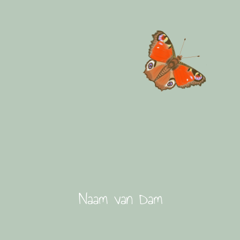 Rouwkaart met vlinder