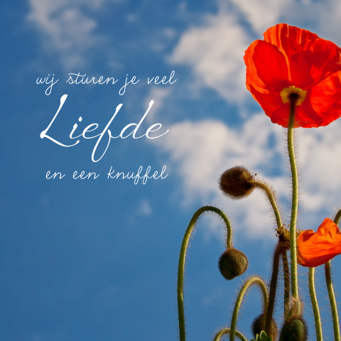 Condoleancekaart liefde en een knuffel