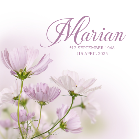 Rouwkaart paars roze tinten met bloemen