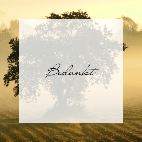 Bedankkaart met boom en een warme tint achtergrond 