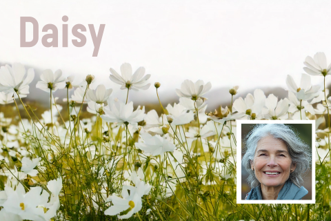 Rouwkaart vrouw veld witte bloemen margrieten en eigen foto