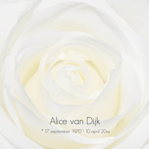 Stijlvolle rouwkaart met witte roos en grijze tekst