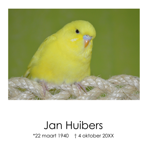 Rouwkaart met een foto van een kanarie vogel
