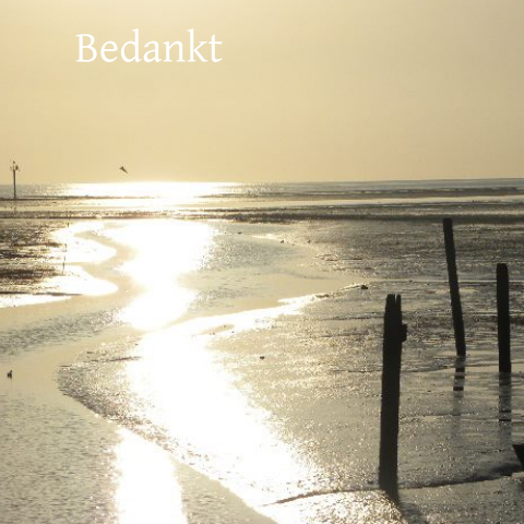 Moderne bedankkaart met foto van de ochtendzon op het strand