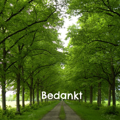 Bedankkaart met prachtige bomen laan met veel groen