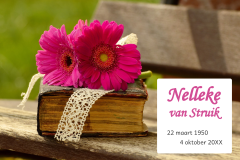 Rouwkaart vrouw met fel roze gerbera op boek liggend op houten bankje