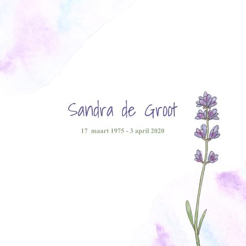 Rouwkaart met lavendel en aquarel vakken