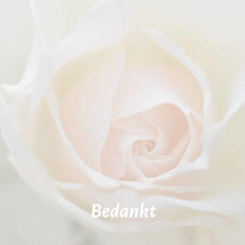 Mooie bedankkaart na overlijden met grote witte roze roos